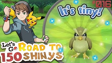 SHINY PIDGEY REACTION! • Pokémon Let
