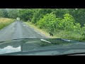 Bear cubs cross the road