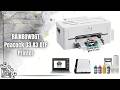 RAINBOWDGT Peacock 33 DTF Printer Review | XP600 A3 Printing Beast!