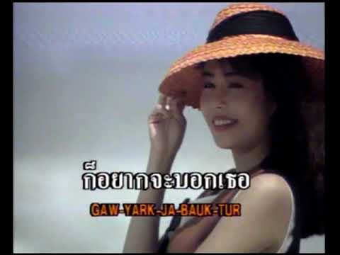 พบกันครึ่งทาง - วสันต์ โชติกุล