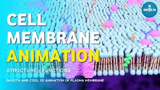 Cell Membrane Animation | Structure and Functions of Plasma Membrane | Doctor 3D