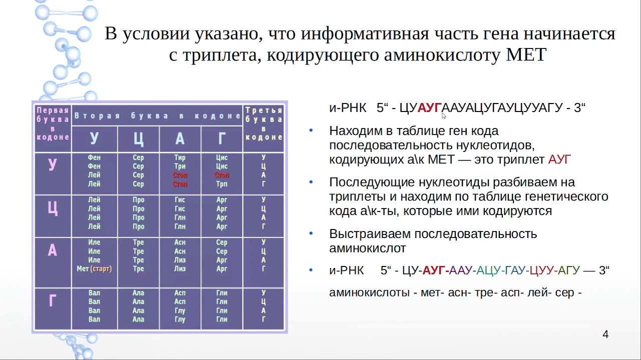 Задачи на белок биология