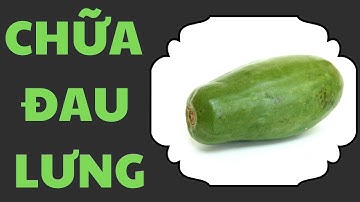 CHỮA ĐAU LƯNG, THOÁI HÓA CỘT SỐNG - ĐU ĐỦ XANH | Mẹo chữa bệnh