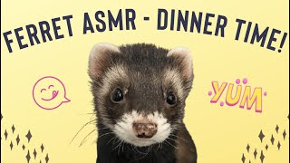 Ferret ASMR - Dinner time! Kawhi enjoying his soup-soup by Happy Fuel 56 views 2 years ago 2 minutes, 12 seconds