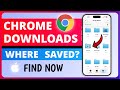 How to Find Google Chrome Downloads on iPhone (Find Downloads Folder)