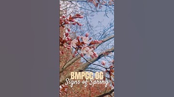 Spring still loading in Helsinki | Bmpcc og