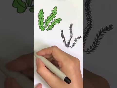 رسم طحالب بحرية بطريقة سهلة وبسيطة وجميلة