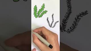 رسم طحالب بحرية بطريقة سهلة وبسيطة وجميلة #shorts