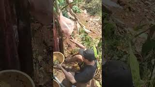 IKANKU TOLONG 😱 #videoshort