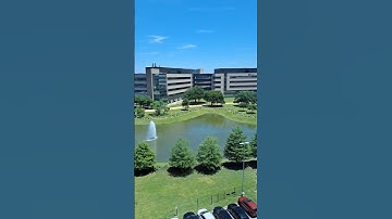 Phiên dịch ENT👂👃👄 | Liam