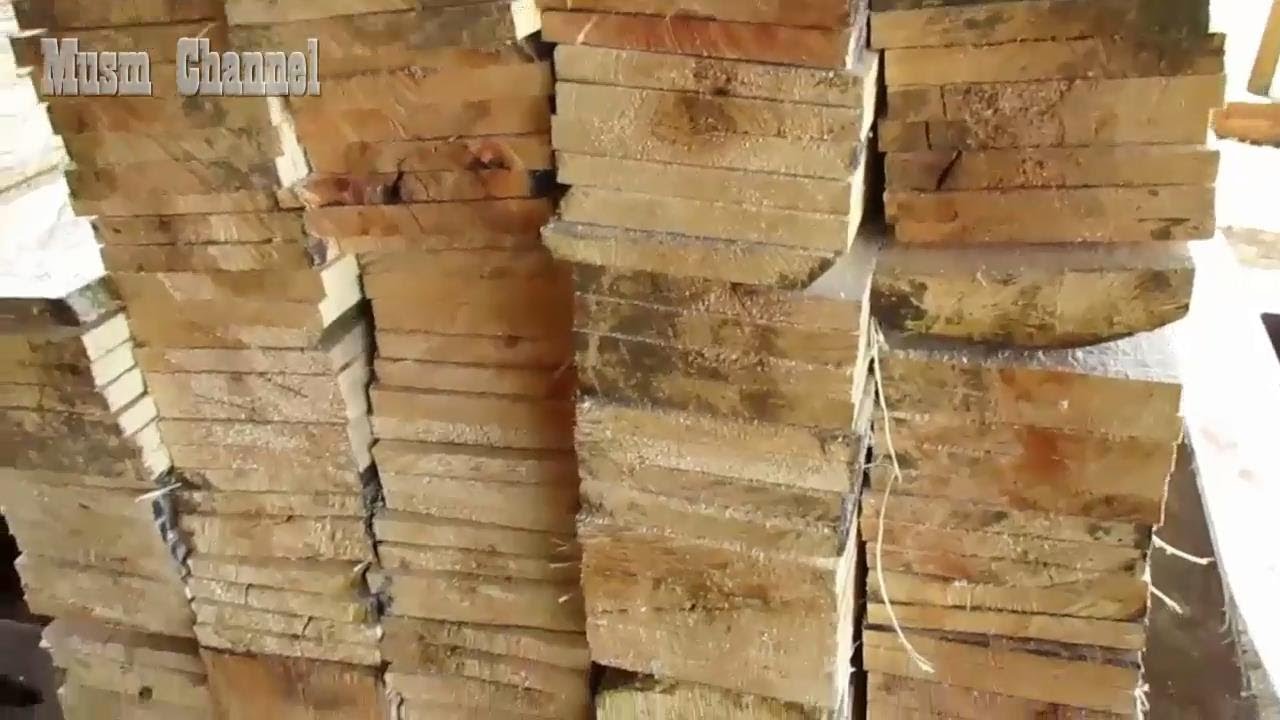  KAYU  SENGON  PROSES PEMBUATAN PAPAN  MEBEL LEMARI DENGAN 