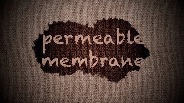bndrycndn - permeable membrane (lyric video)