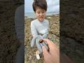 沖縄の海で『大金』を発見!?と思ったら…