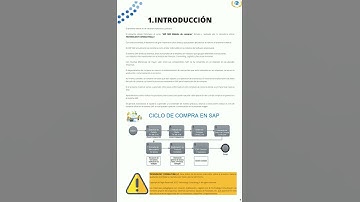 📖 SAP MM MÓDULO DE COMPRAS. 📖 EBOOK OFICIAL.