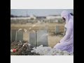 رحمه الله عليك يا غالي