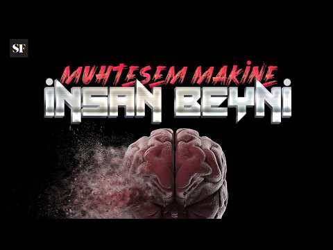The Magnificent Machine: The Human Brain | BBC Science Focus Turkey