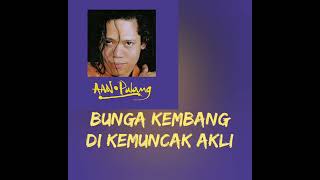 Aan  Cinta Melankolia lirik