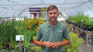 Smucker Gardens About Us Video