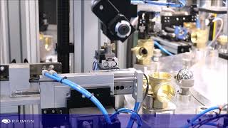 Ball valves assembly machine