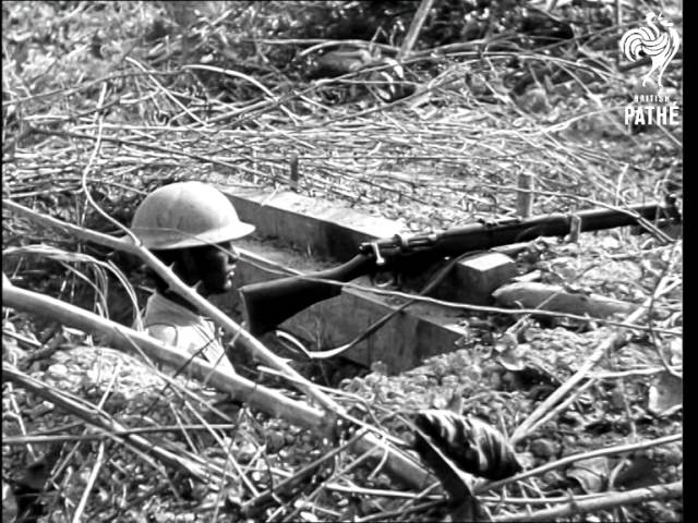 WWII's forgotten army: West Africa's soldiers in Burma