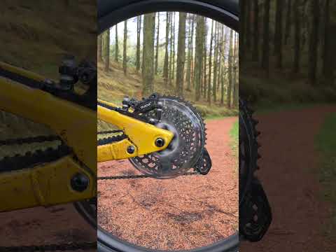 SRAM Guide RE