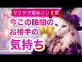 【⚠️辛口あり⚠️】サクサク６択『今この瞬間のあの人の気持ち💓』