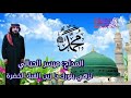 المداح السيد ميسر الحيالي تزهي بنورك يا زين القبه الخضرة حصري و جديد 