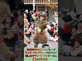 テディベアダンサーさんのダンス ディズニークリスマスパレード2025 トイズ・ワンダラス・クリスマス Toys Wondrous Christmas ディズニーランド #shorts
