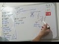 9 class biology lecture 7 @ law student accedmey 