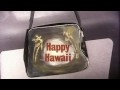 Miniature de la vidéo de la chanson Happy Hawaii (Fremantle Media)