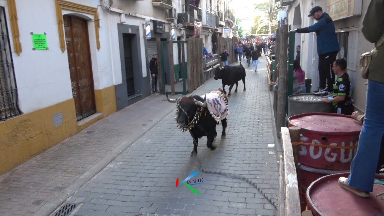 Beas de Segura ( San Marcos 2025 ) 1º