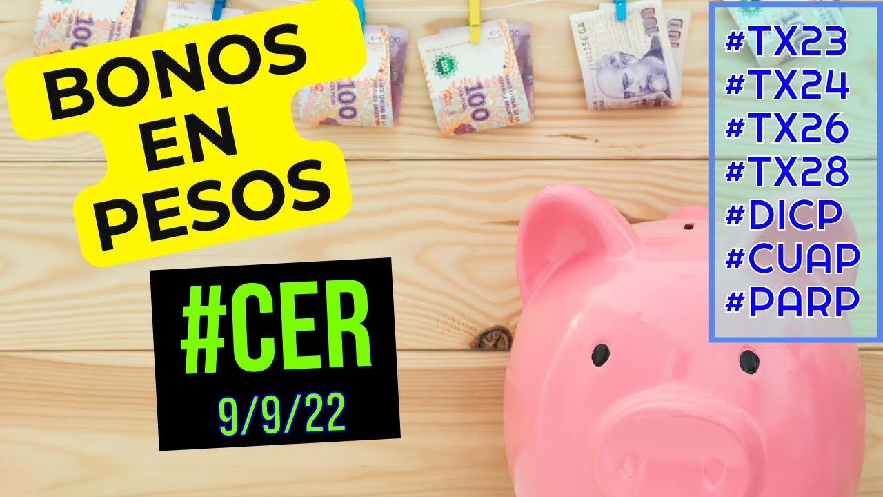 💰 Bonos CER ajustado por inflación 2022 / Renta fija / TX23 TX24 TX26 TX28 PR13 DICP PARP YouTube