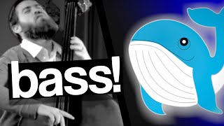 So...bass solos kinda sound like cartoon whales | VIEWER CRITIQUES