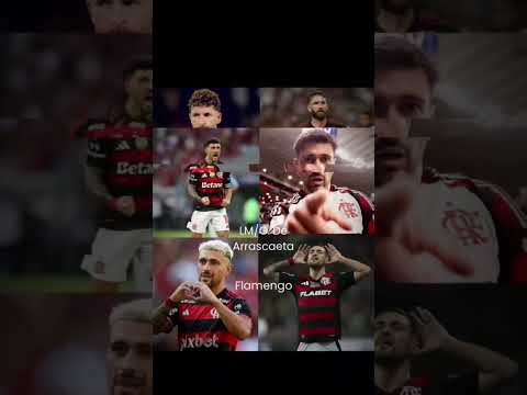 FIFA's selection of the 2025 Copa Libertadores team. #edit #brazil #libertadores #shorts #fotball