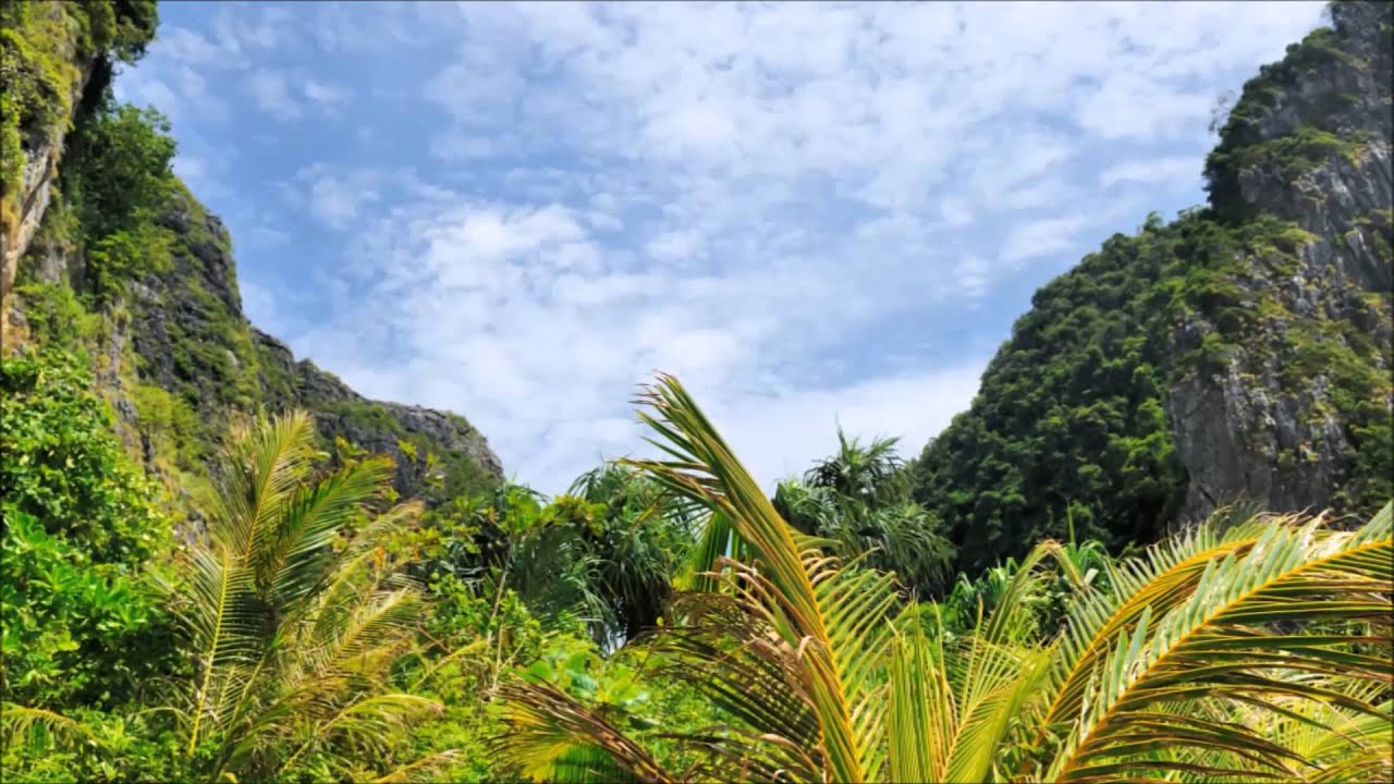 2 Hours of Cat Music - Relaxing Music For Cats - 2 Hora Cat Musica - Relaxing Sound