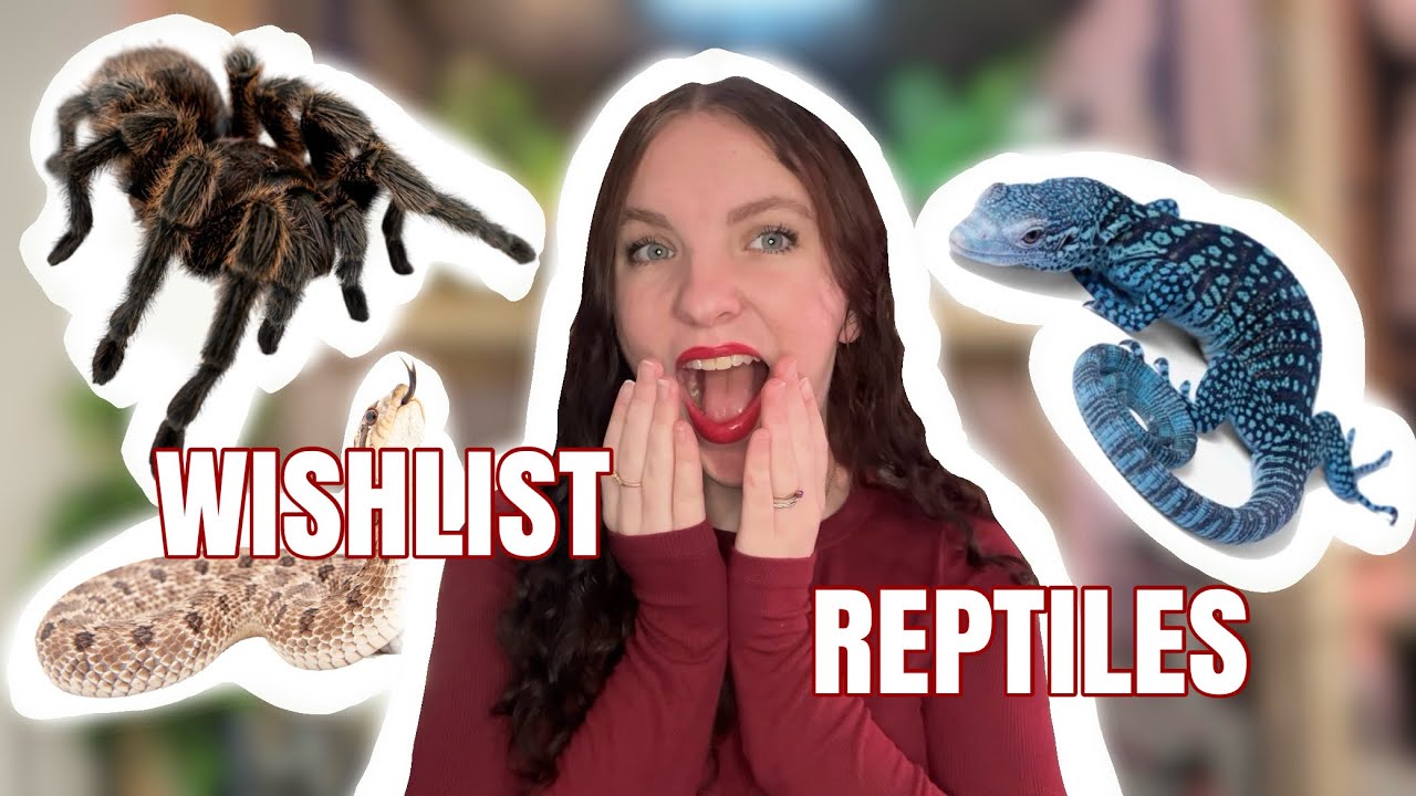 Рептилии, которых мне следовало бы включить в свой рождественский список.