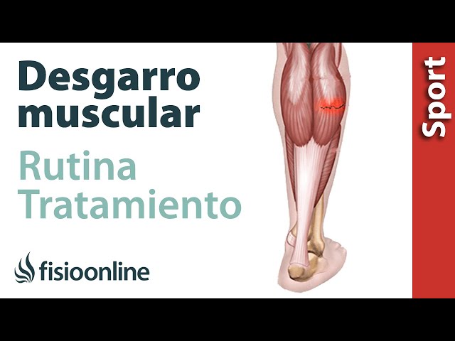 Contractura muscular isquiotibial tiempo de recuperacion