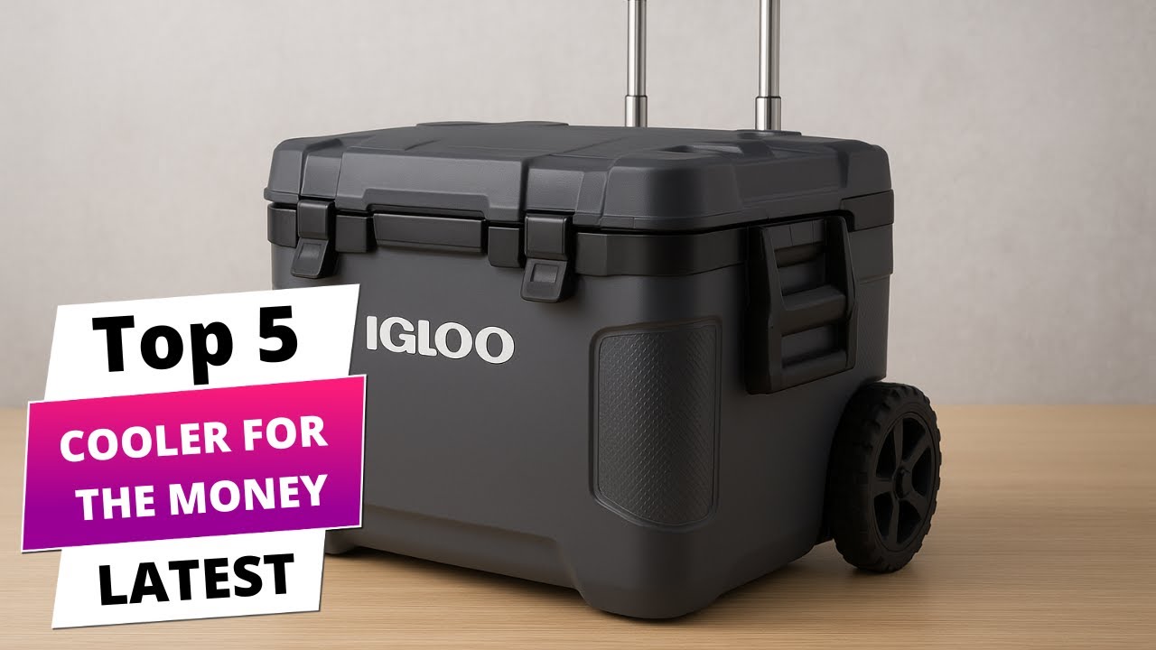 ✅ Best cooler for the money: Cooler for the money (Buying Guide)