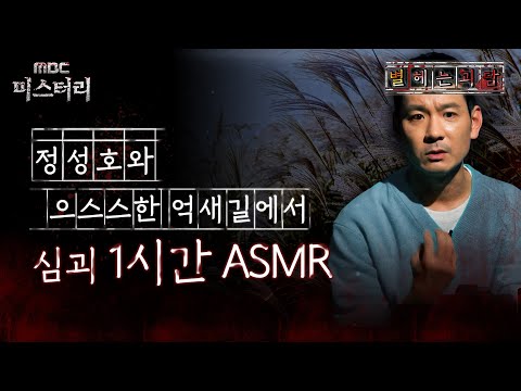 [별 헤는 괴담] 정성호와 으스스한 억새길에서 심괴 1시간 ASMR #심야괴담회 #심괴 #어둑시니 MBC210708방송
