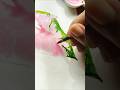 Easy Leaf Painting for beginners | How to paint a leaf #watercolorforbeginners #ytshorts #artshorts