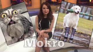 Jenny Milkowski Polish Lesson: Wet