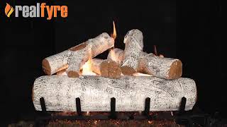 Real Fyre White Birch Gas Log Set