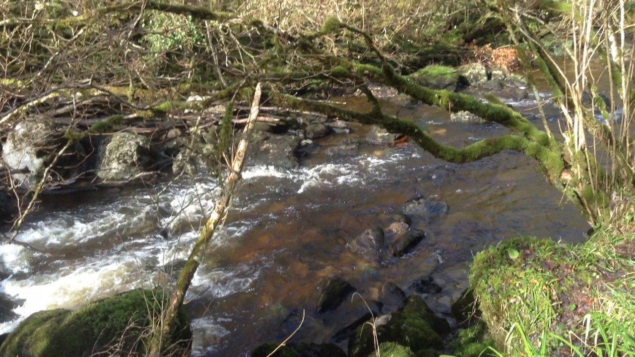 Claddagh Glen Quick Clip