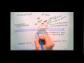 development of placenta