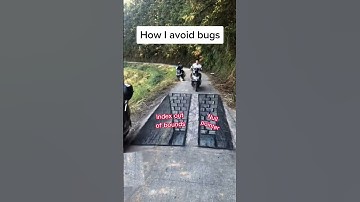 The daily struggle for softwtare developers is real 🐞🐛🐜 #funny #programming #developer #meme