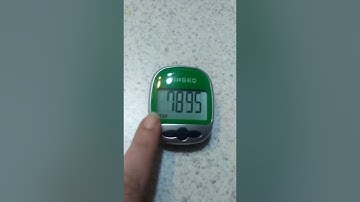 Pingko Pedometer