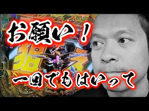 負けた分、君しか捲れない‼️【#41】牙狼12