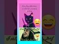 funny video status #viralvideo #comedyshows #laughingcomedy #funnymemes #jokes #ekmotahathighumechal