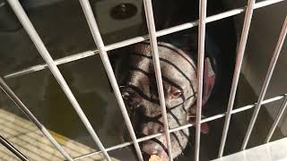 acs A676827