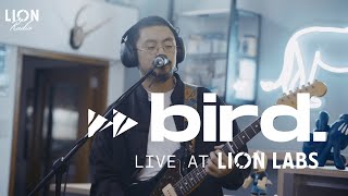 bird.: Live at Lion Labs (Full Set)